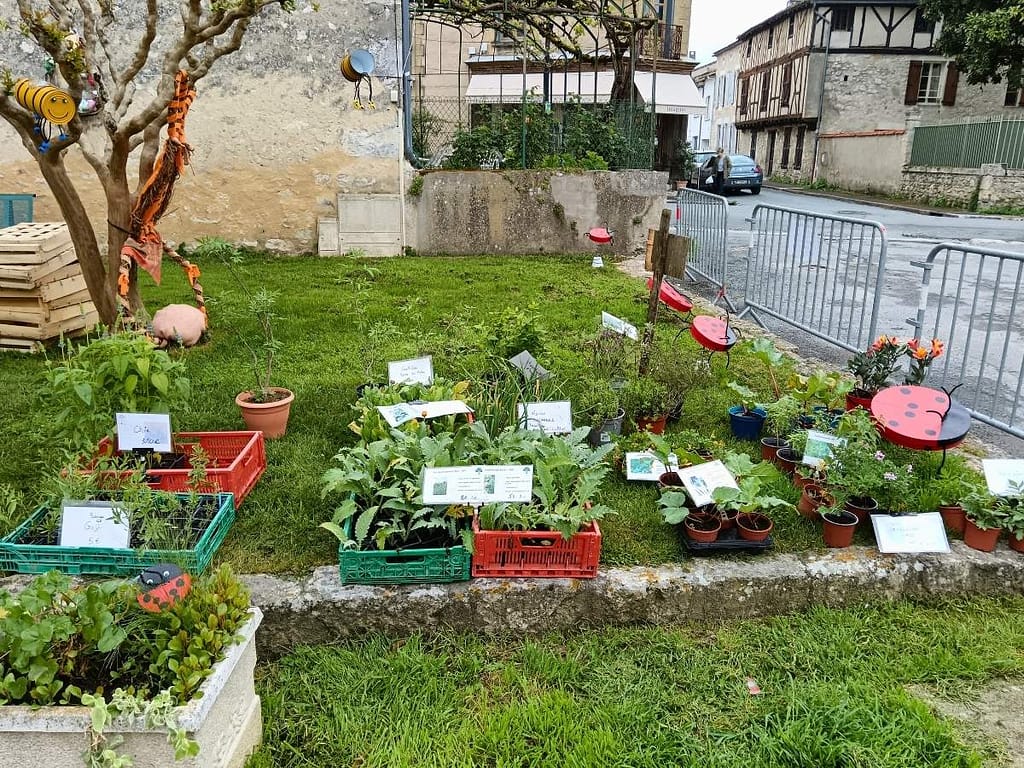 Plantes aromatiques vivaces proposées à la foire d’Eymet en 2025