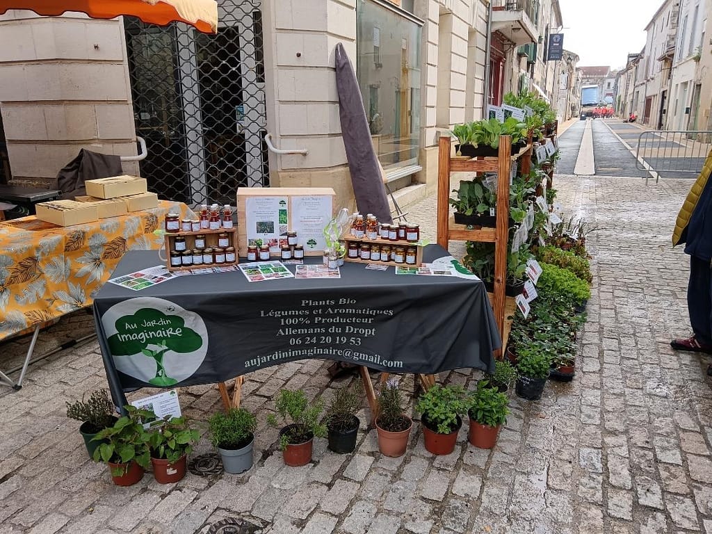 Stand de plants potagers et aromatiques bio au marché d’Eymet