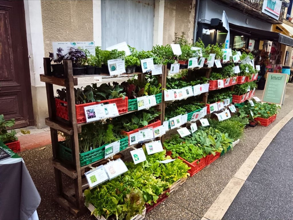 Plants de légumes et aromatiques sur le marché de Lauzun