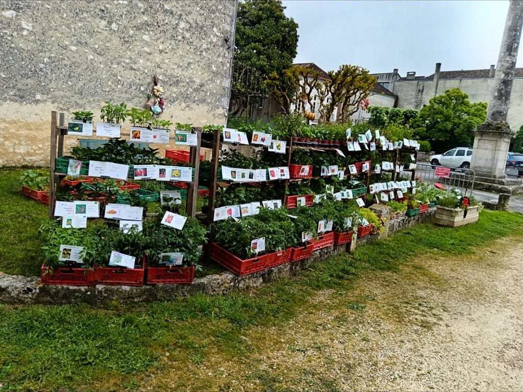 Stand de plants potagers et aromatiques bio à la fête des fleurs d’Eymet