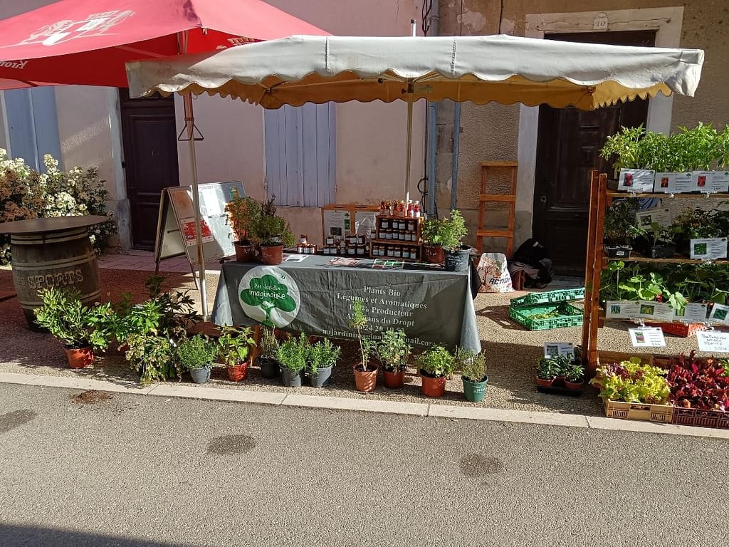 Stand de plants potagers et aromatiques bio au marché de Lauzun