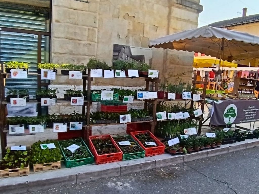 Stand Au Jardin Imaginaire marché Miramont-de-Guyenne plants bio piments produits artisanaux 2026